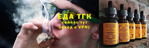 индика Гусиноозёрск