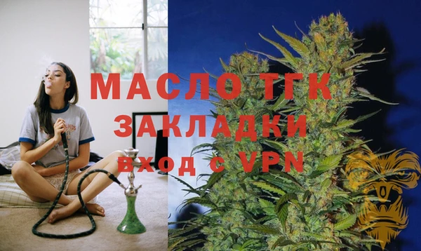 индика Гусиноозёрск