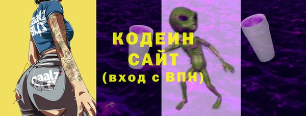индика Гусиноозёрск