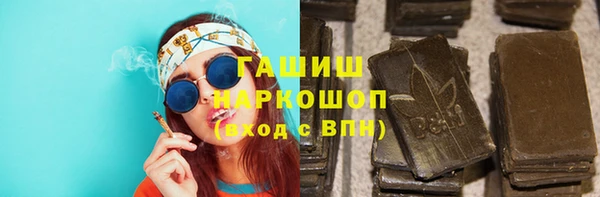 индика Гусиноозёрск