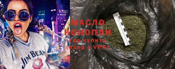 индика Гусиноозёрск