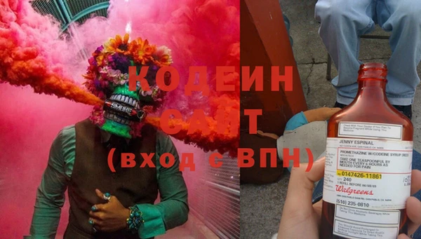 индика Гусиноозёрск