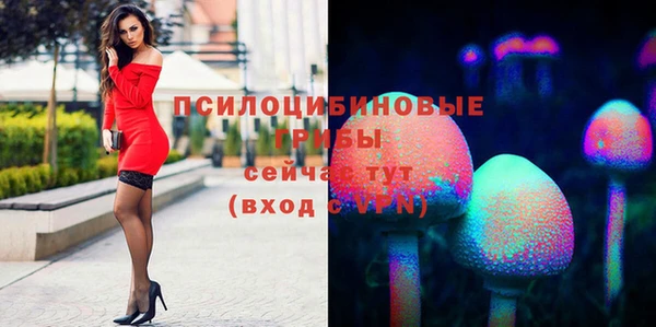соль курить ск Гусев