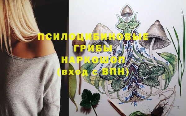 соль курить ск Гусев